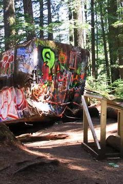 Whistler Train Wreck Trail